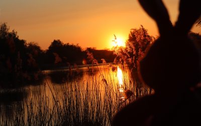 Osterferienbeginn?… fühlt sich komisch an!