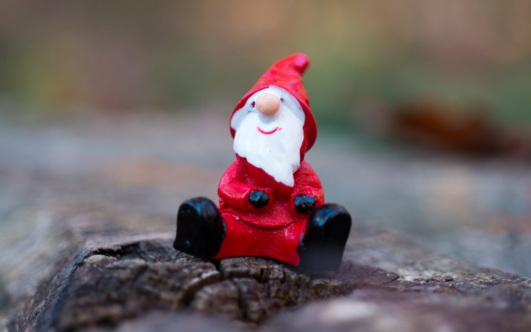 selective focus photography of gnome figurine